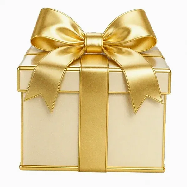 Wrapped gift box — Incognito